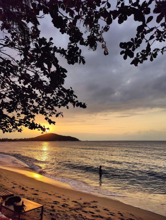 Chill Inn Lipa Noi Hostel And Beach Cafe Koh Samui Esterno foto